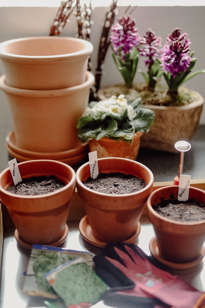 Herb garden, kitchen garden, Kräuter, Kräuteraussaat