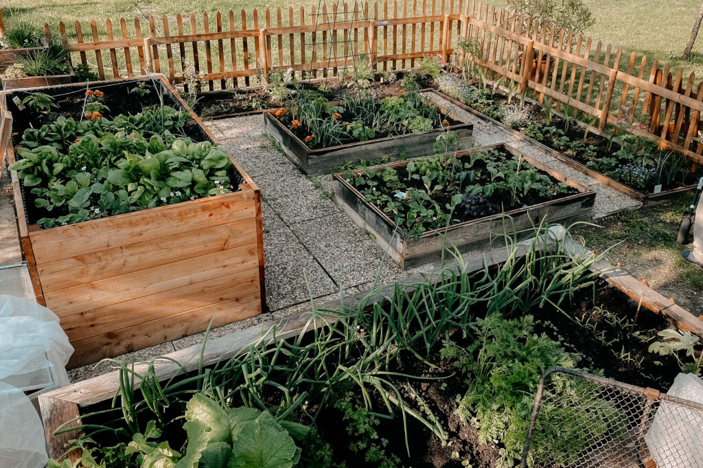 Gartenplan, Anbauplan für das Frühjahr, Beetplanung, Aussaatplan