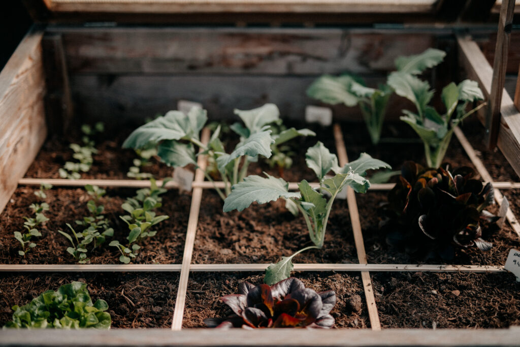 Square Foot Gardening, Gartenplanung, Gartengestaltung, Beetplanung, Pflanzplan für Quadratgärten