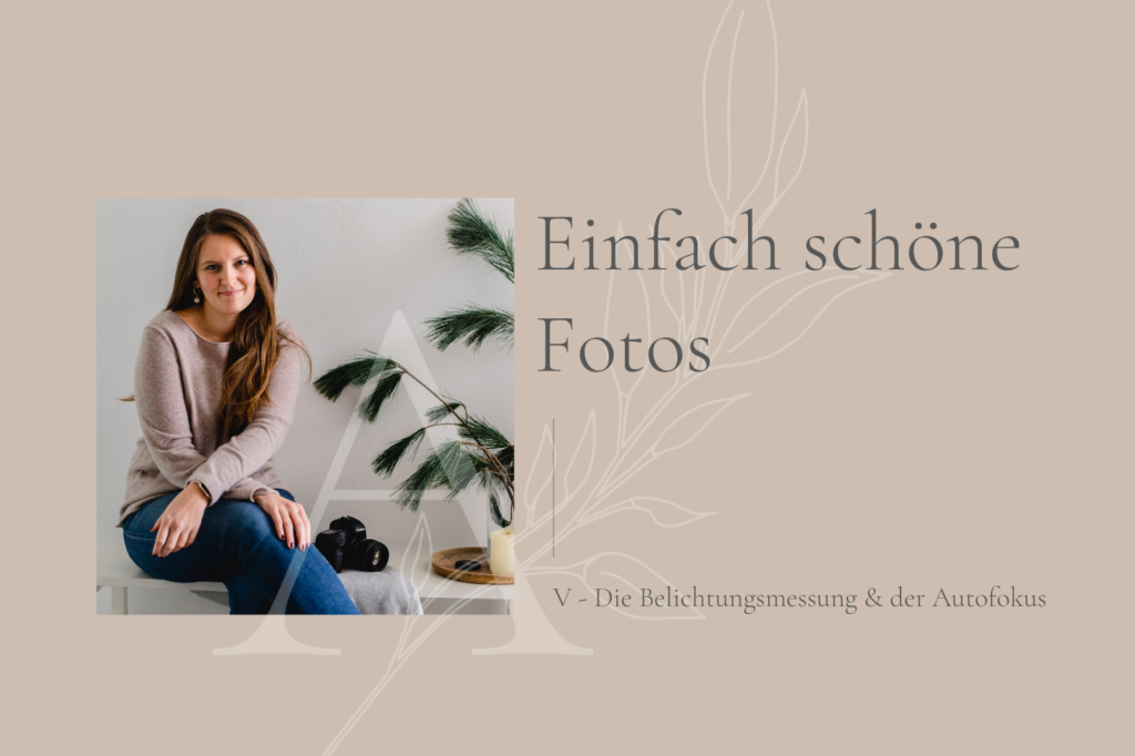 Einfach schöne Fotos, Fotografieren lernen für Anfänger, Fotografieren lernen für Einsteiger, Fotokurs, Blende, ISO, Verschlusszeit, Autofokus