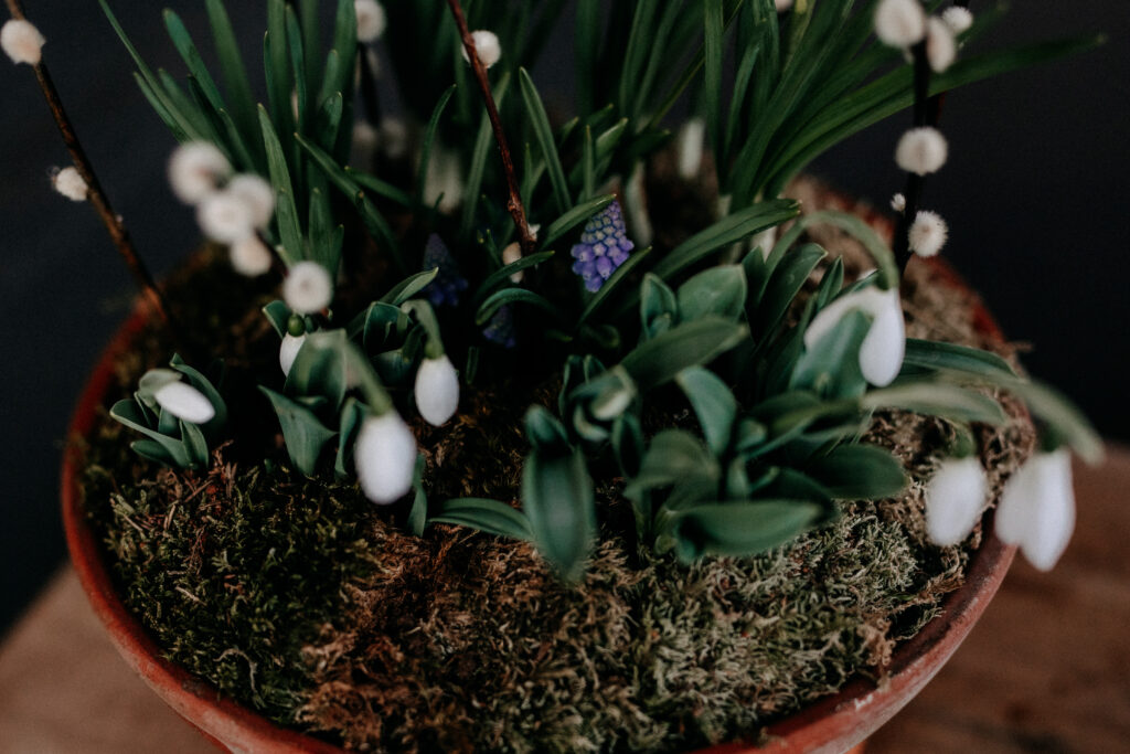 Blumenarrangements mit Frühlingsblumen, Frühblüher, Frühling, Floristik, Narzissen, Tulpen, Krokusse, Hyazinthen, Ranunkeln, Gartentipps
